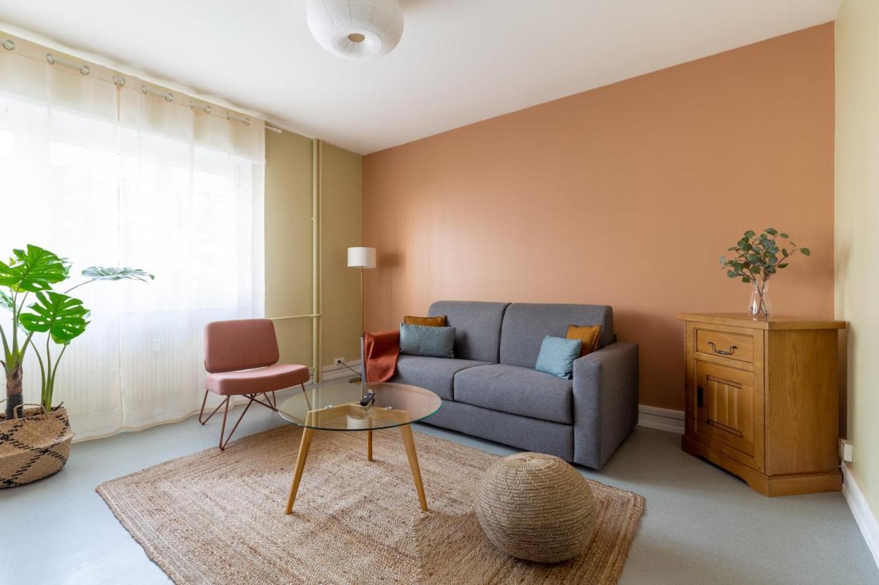 Travel Homes - Le Freedom, Chaleureux & Spacieux Mulhouse Buitenkant foto